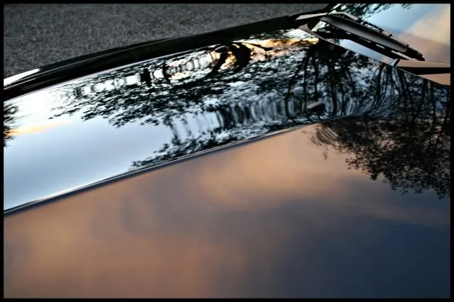 Bonnet.webp