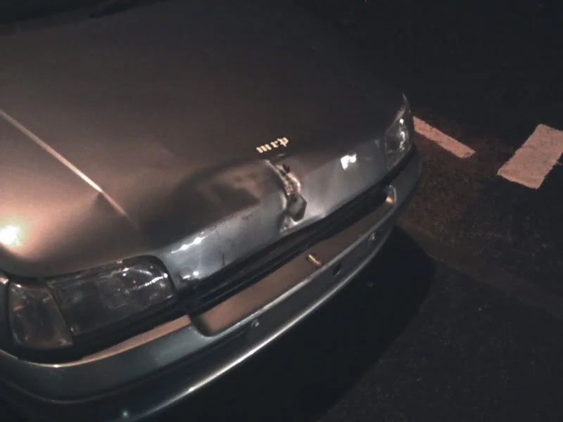 bonnet2.webp