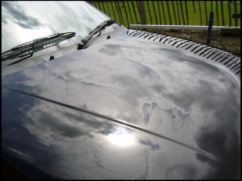 Bonnet_Closeup.jpg