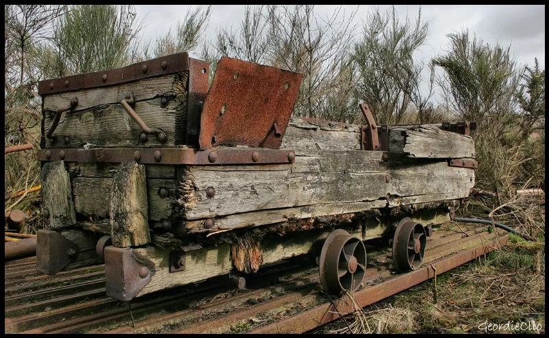 Borkendowntrailer.webp