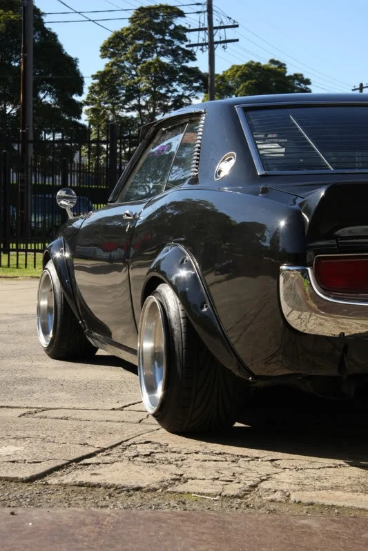 bosocelica.webp