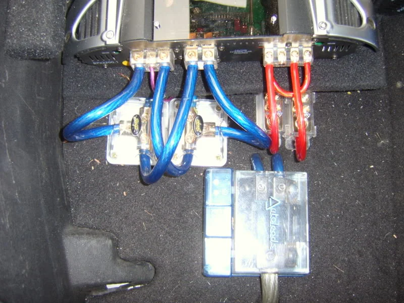 BPXCONNECTIONS.webp
