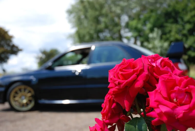 Bradwell201251.webp