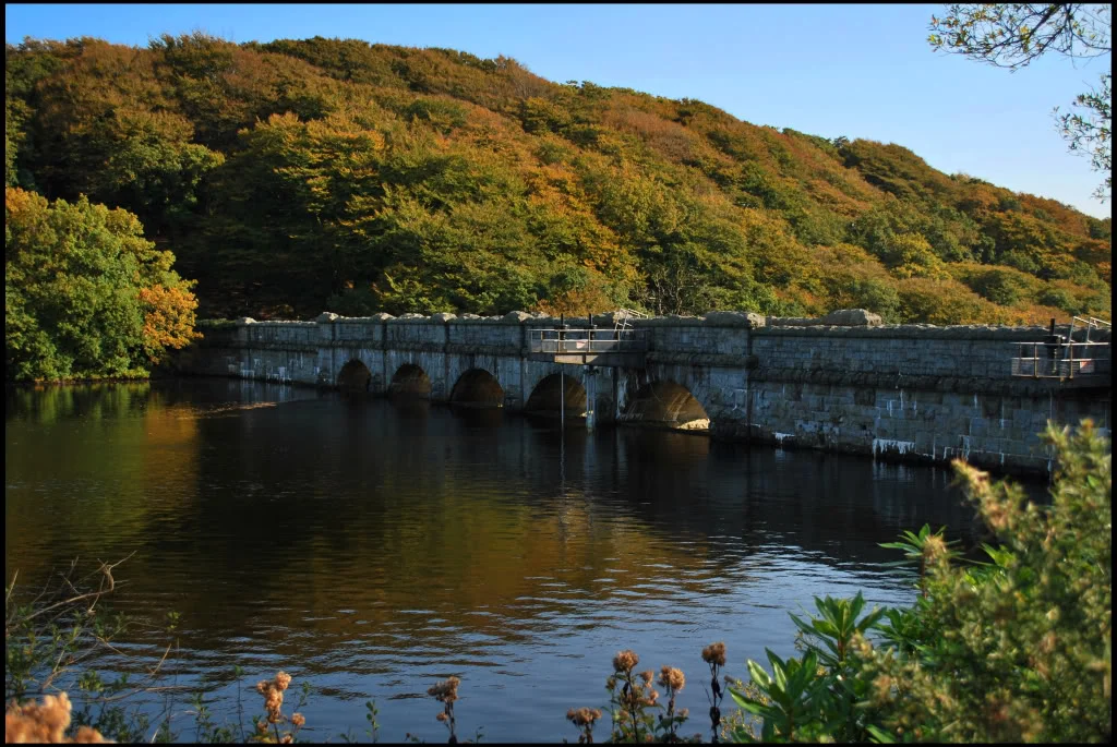 Bridge.webp