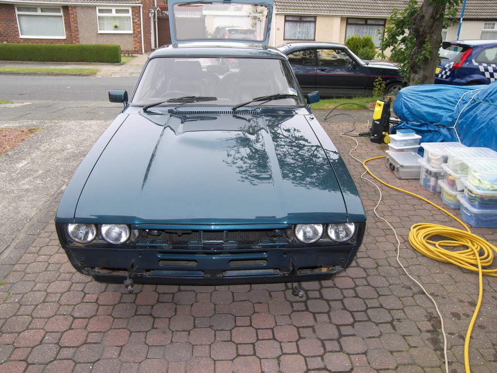 Brookie007.jpg Brookie007.jpg