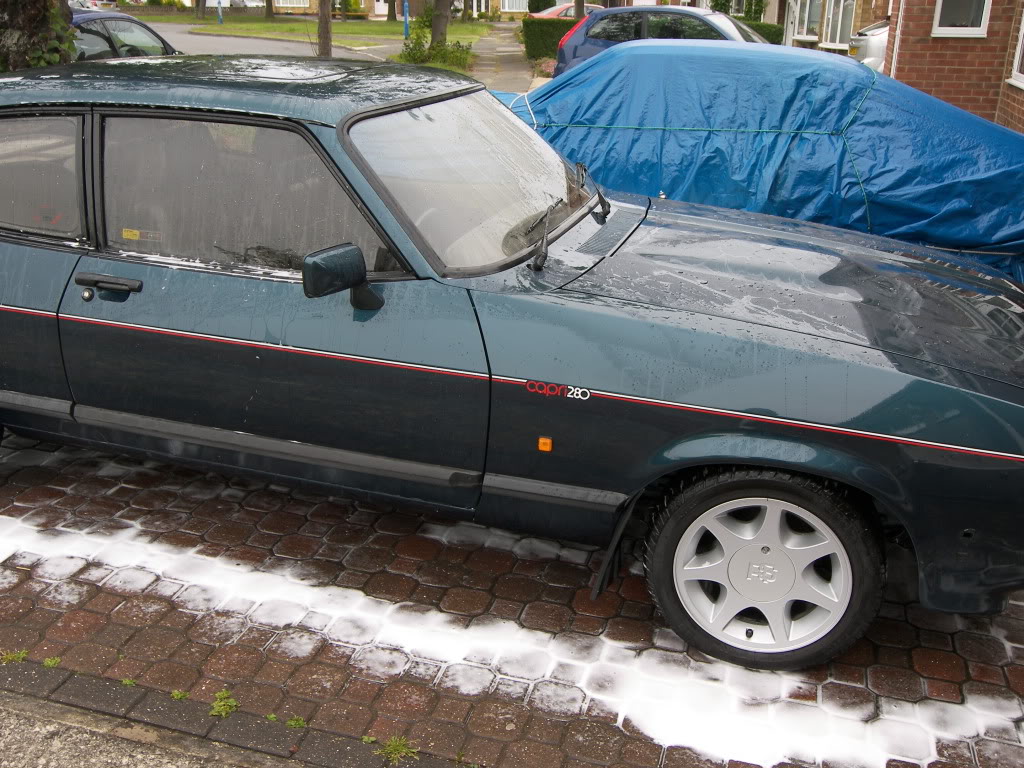 Brookie009.jpg Brookie009.jpg