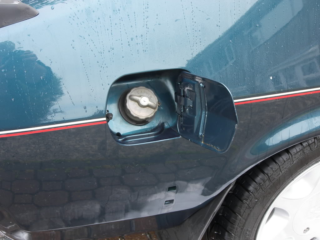 Brookie011.jpg Brookie011.jpg