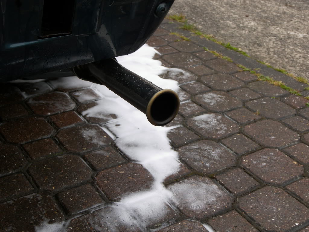 Brookie012.jpg Brookie012.jpg