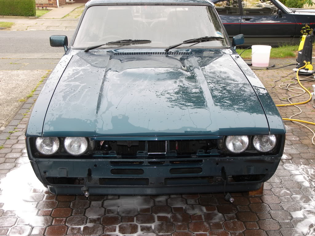 Brookie014.jpg Brookie014.jpg