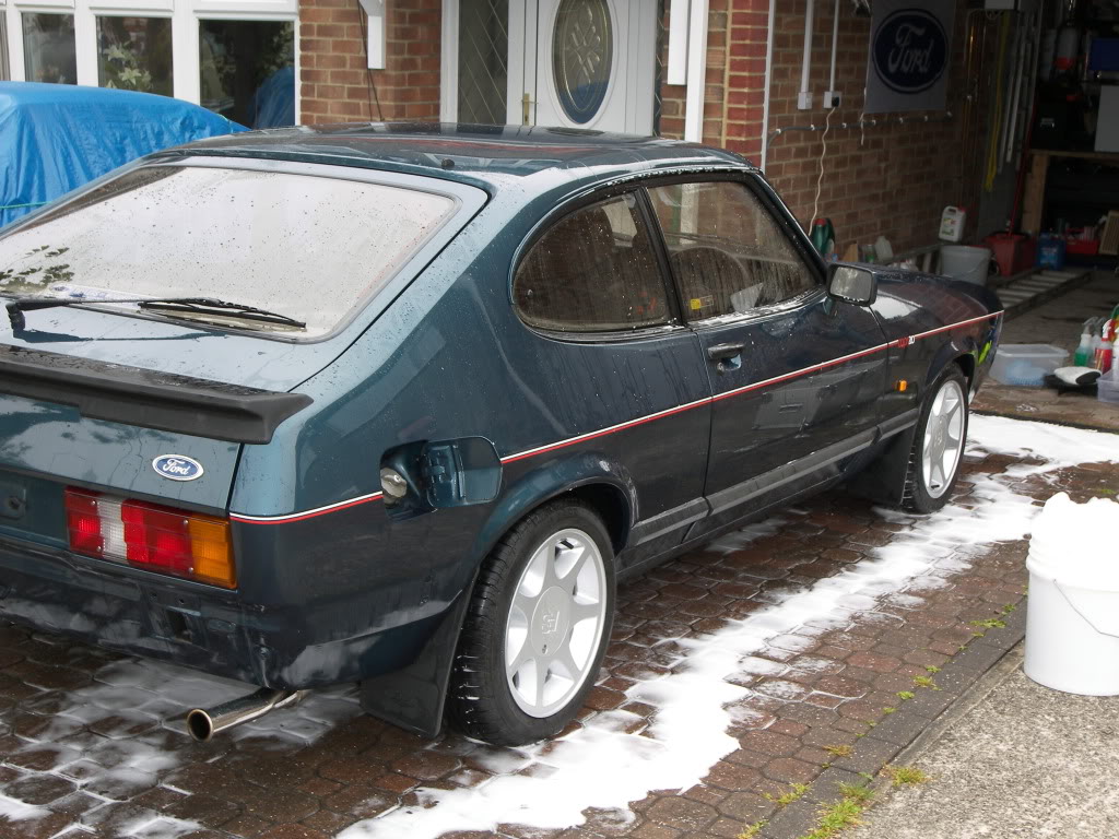 Brookie015.jpg Brookie015.jpg