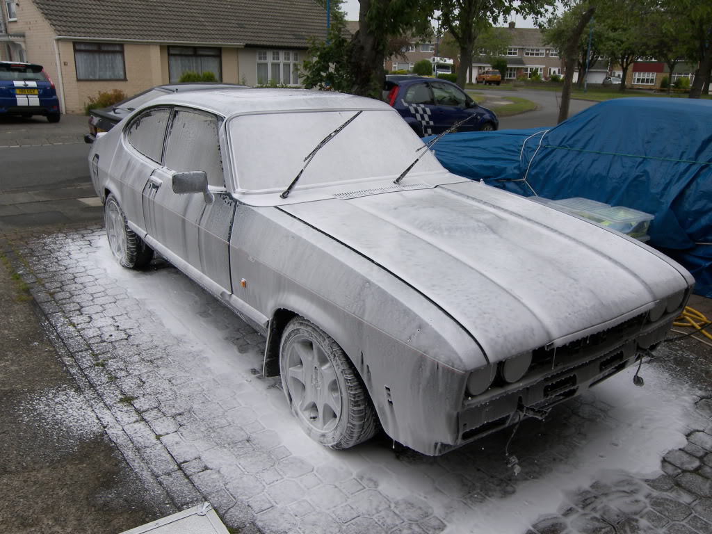 Brookie018.jpg Brookie018.jpg