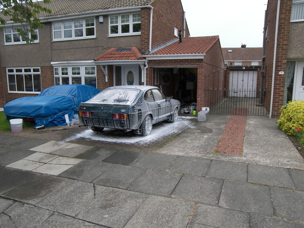 Brookie024.jpg Brookie024.jpg