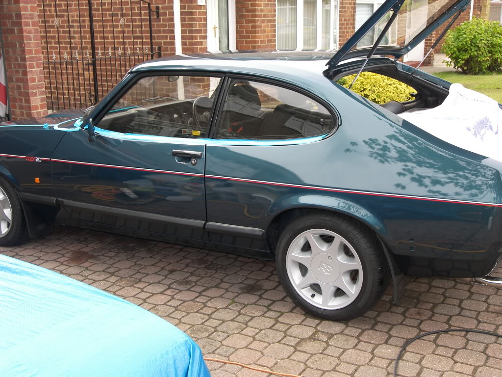 Brookie045.jpg Brookie045.jpg