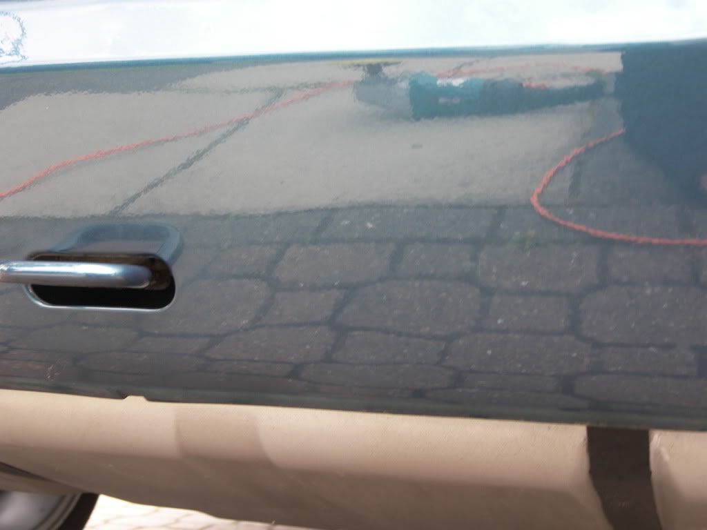 Brookie049.jpg Brookie049.jpg