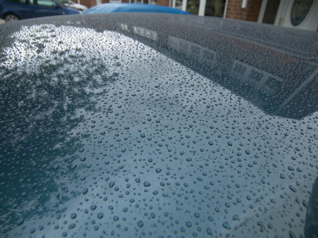 Brookie078.jpg Brookie078.jpg