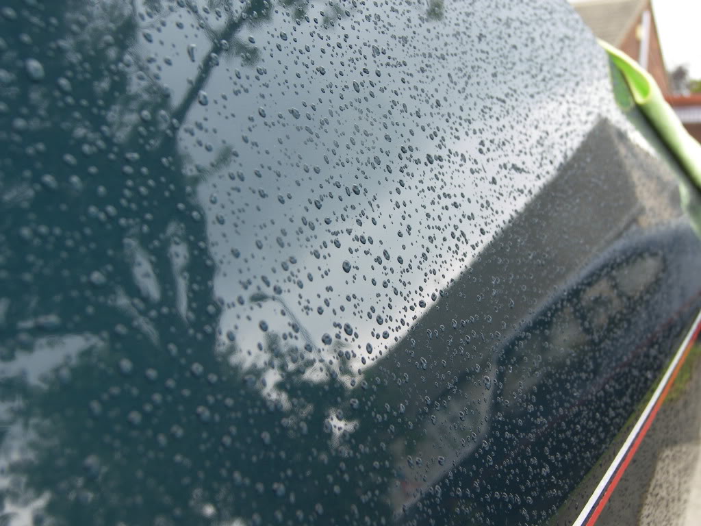 Brookie080.jpg Brookie080.jpg