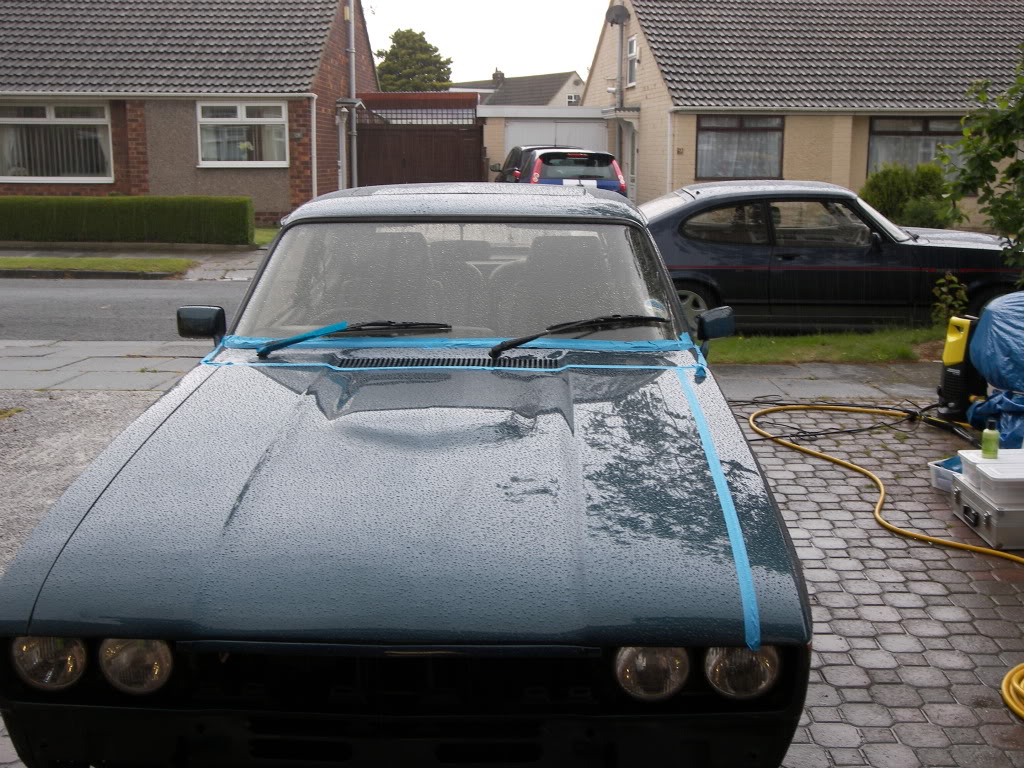 Brookie086.jpg Brookie086.jpg