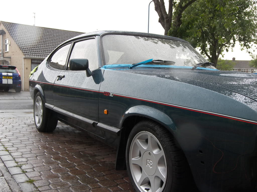 Brookie087.jpg Brookie087.jpg