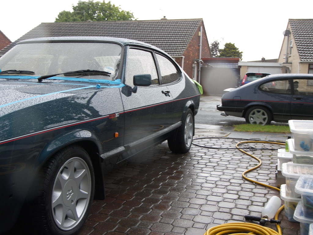 Brookie088.jpg Brookie088.jpg