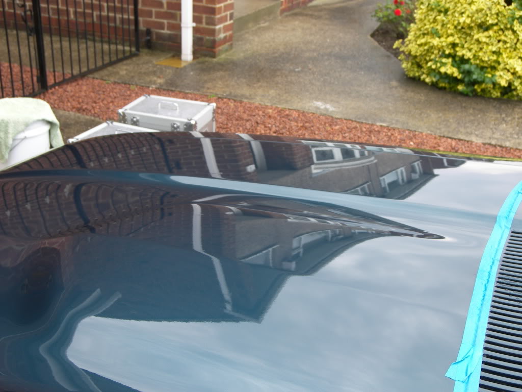 Brookie091.jpg Brookie091.jpg