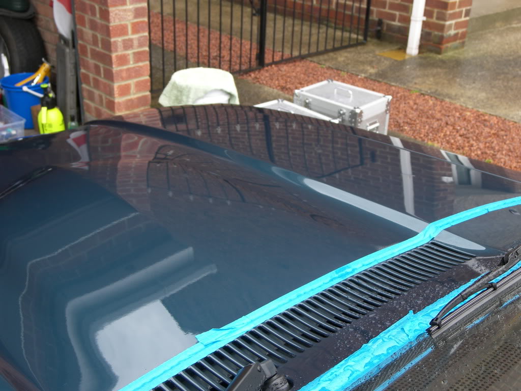 Brookie092.jpg Brookie092.jpg