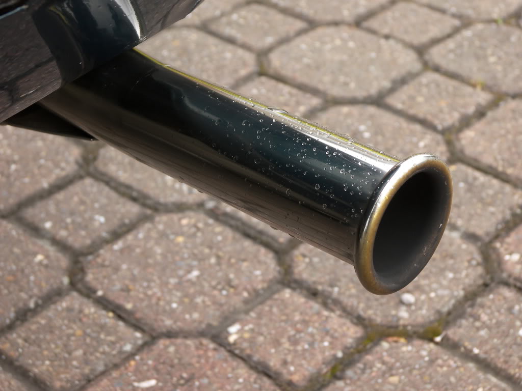 Brookie098.jpg Brookie098.jpg