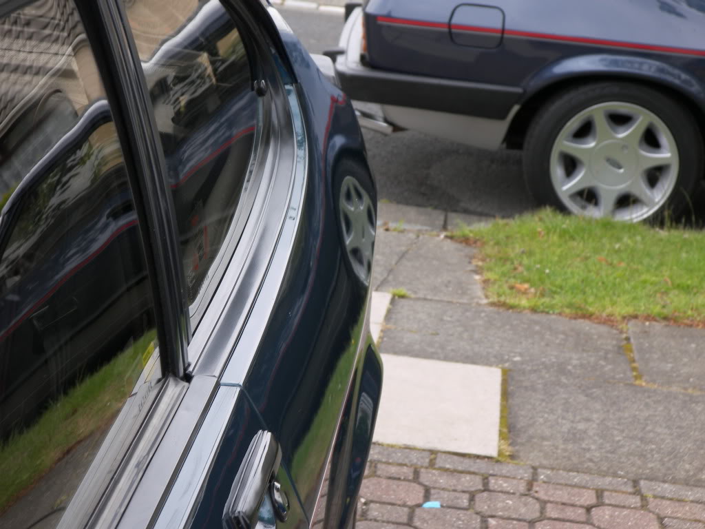 Brookie099.jpg Brookie099.jpg