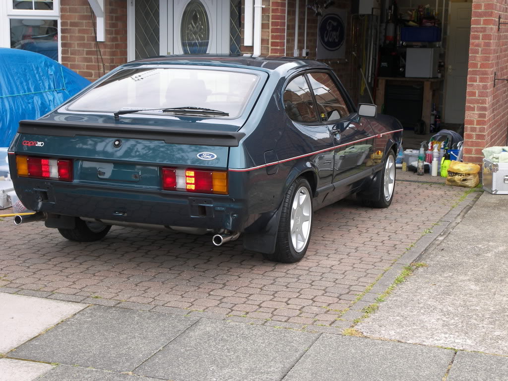 Brookie101.jpg Brookie101.jpg