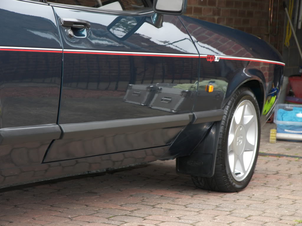 Brookie110.jpg Brookie110.jpg