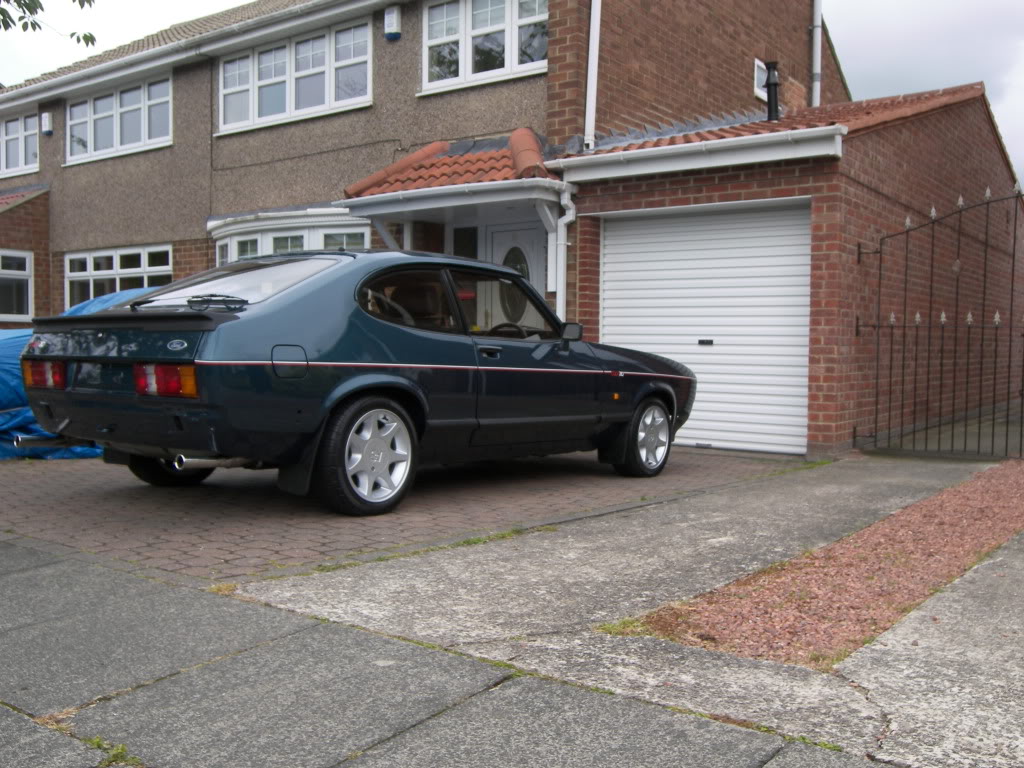 Brookie112.jpg Brookie112.jpg