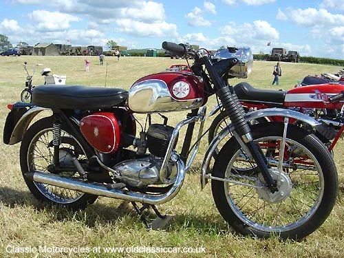 bsa.webp