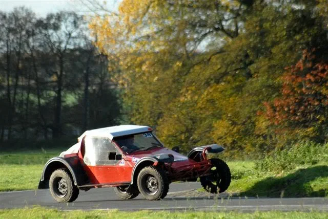 Buggy419.webp