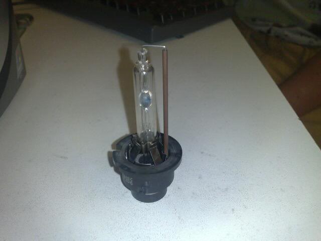 bulb.jpg
