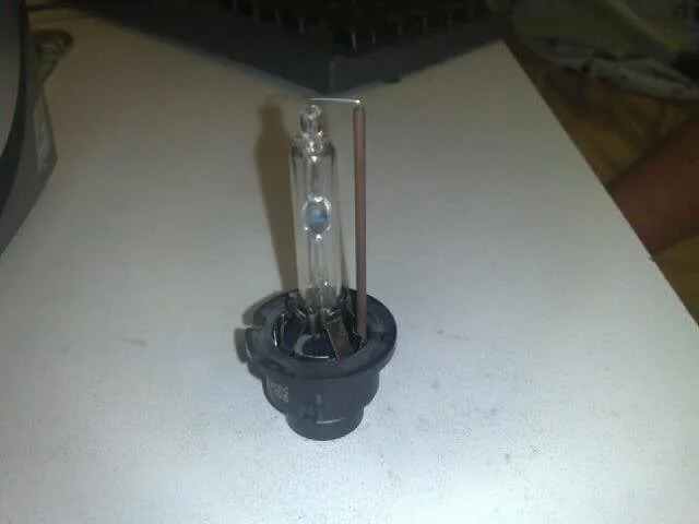 bulb.webp