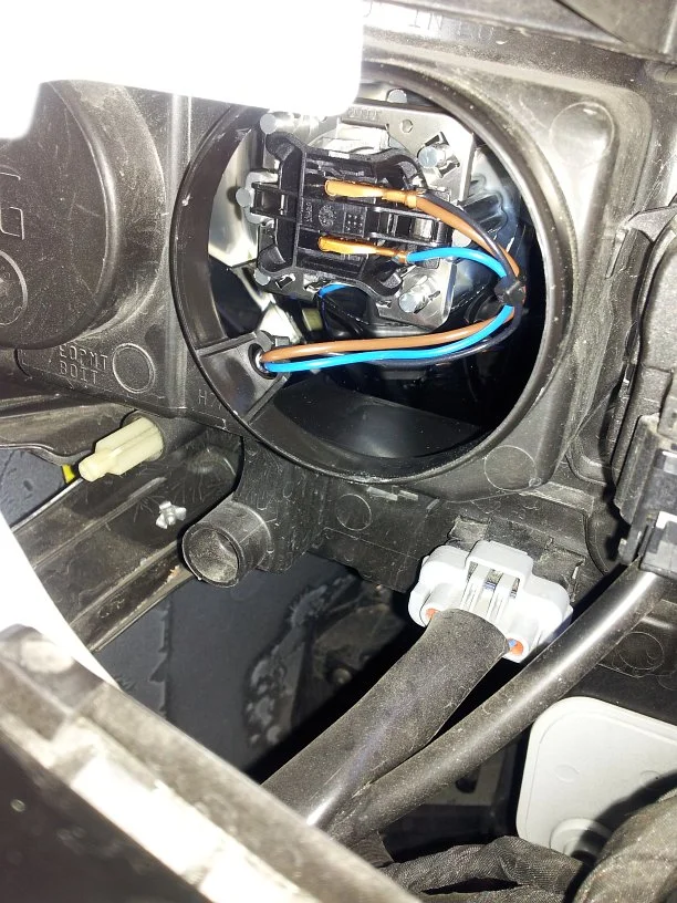 bulb1.webp