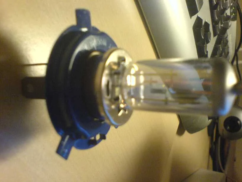 bulb1.webp