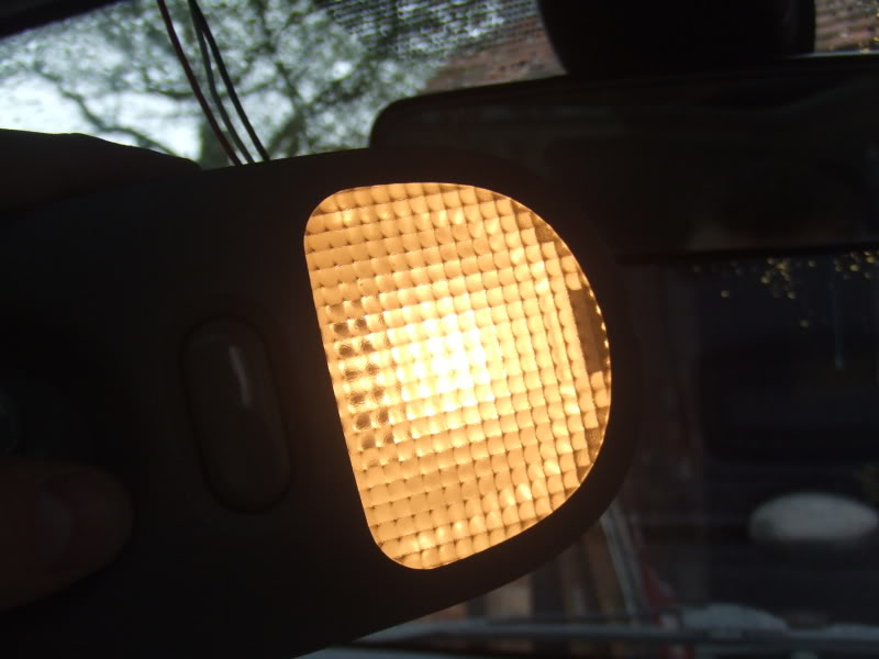 BULB2.jpg