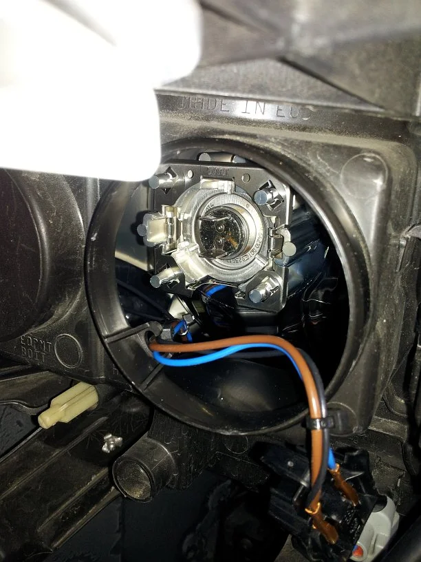 bulb2.webp