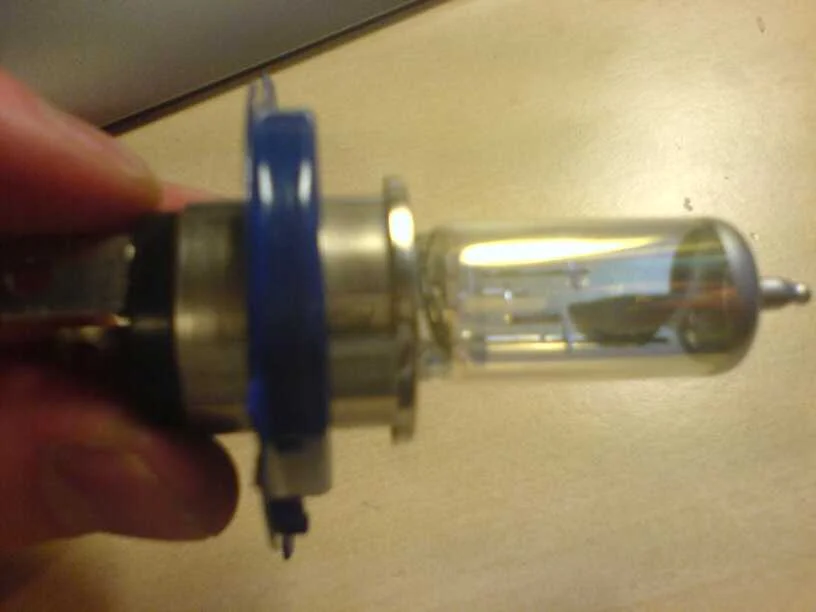 bulb2.webp