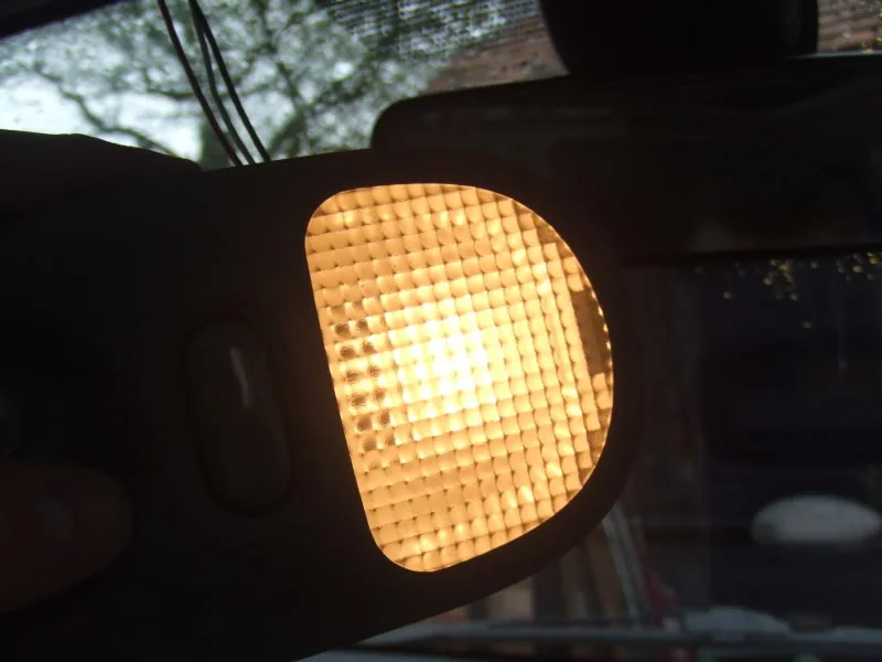 BULB2.webp