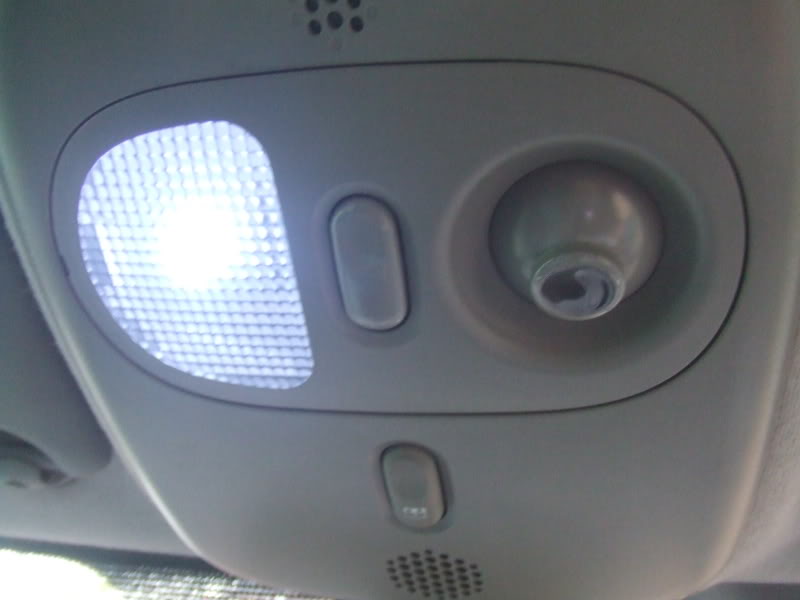 BULB3.jpg