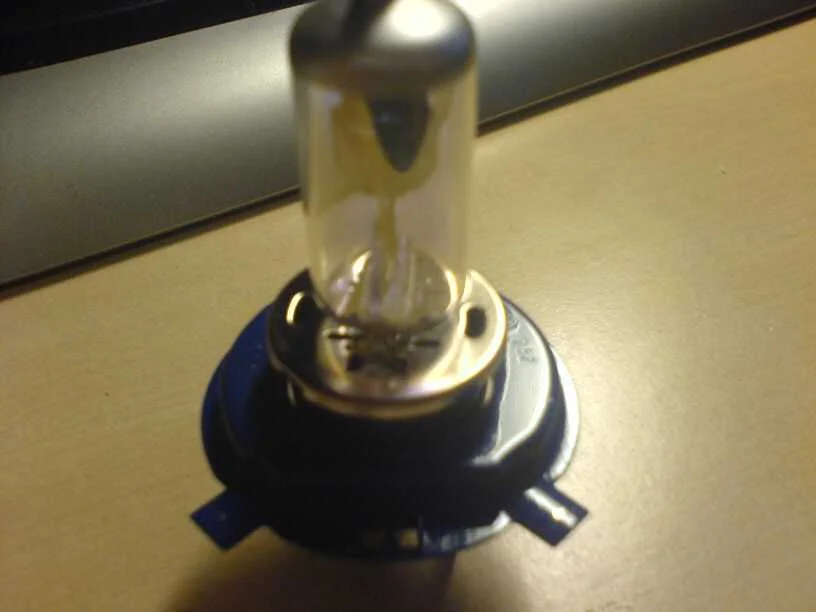 bulb3.webp