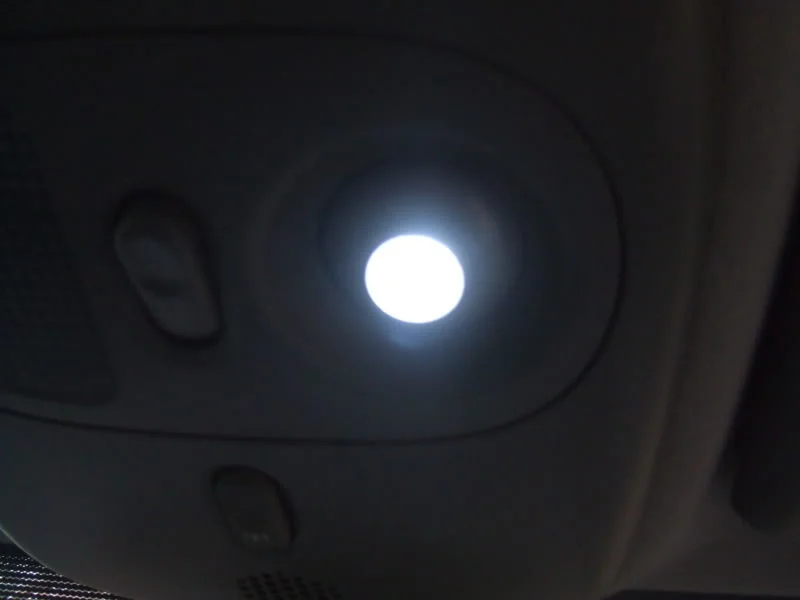 BULB4.webp