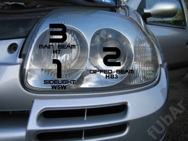 bulbs.webp
