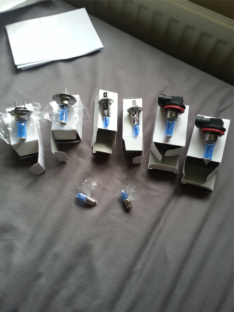 bulbs_zps940813f4.jpg