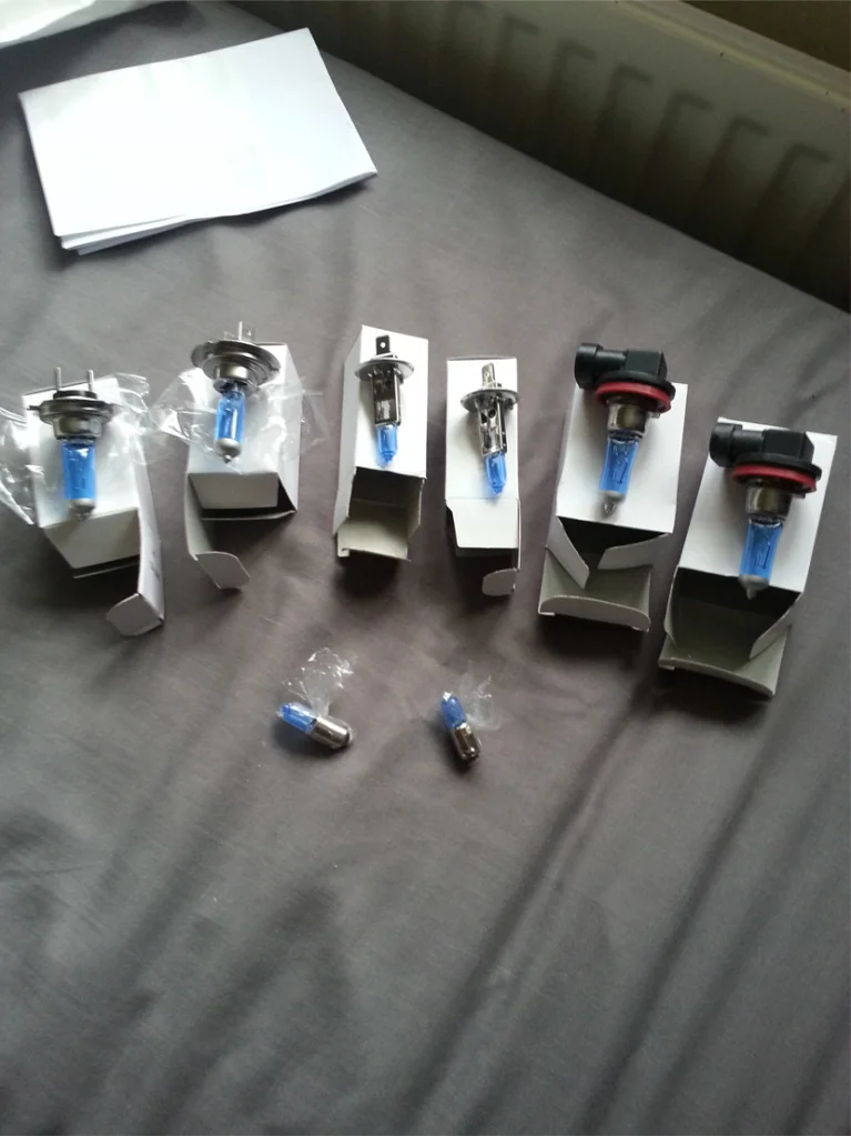 bulbs_zps940813f4.webp