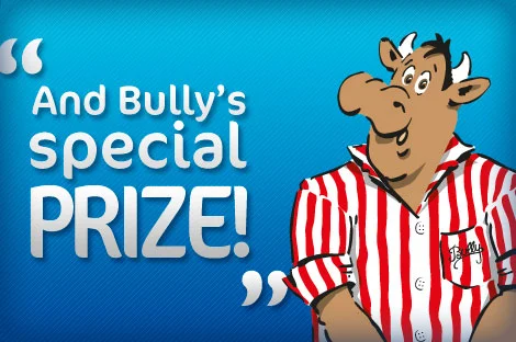 bullys-special-prize.webp