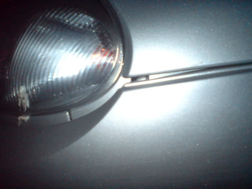 bumper.webp