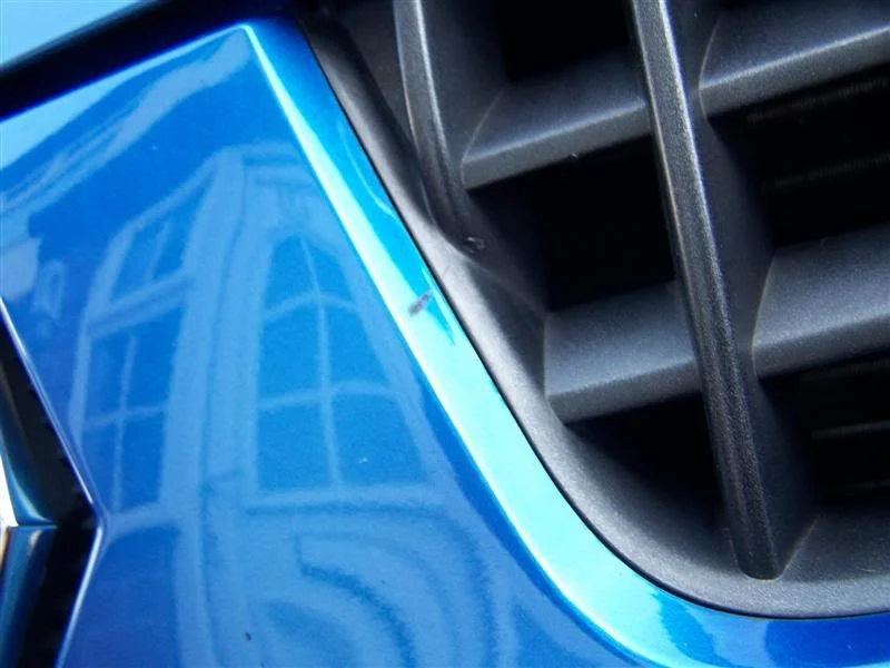bumper001Medium.webp