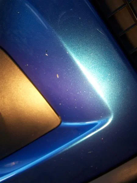 bumper005Medium.webp